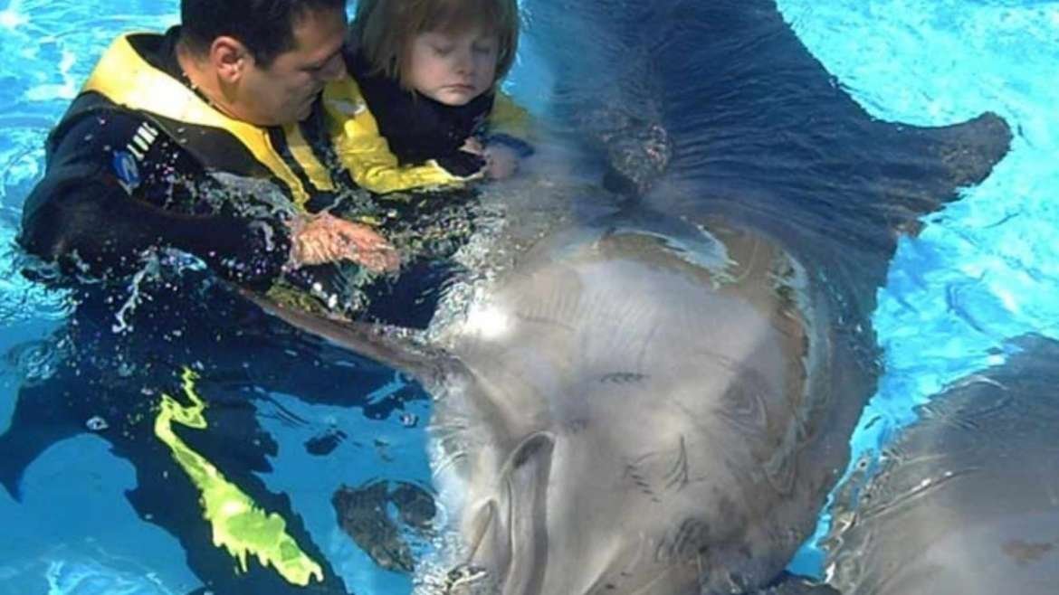 Terapia con delfines